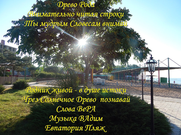 По венам древа