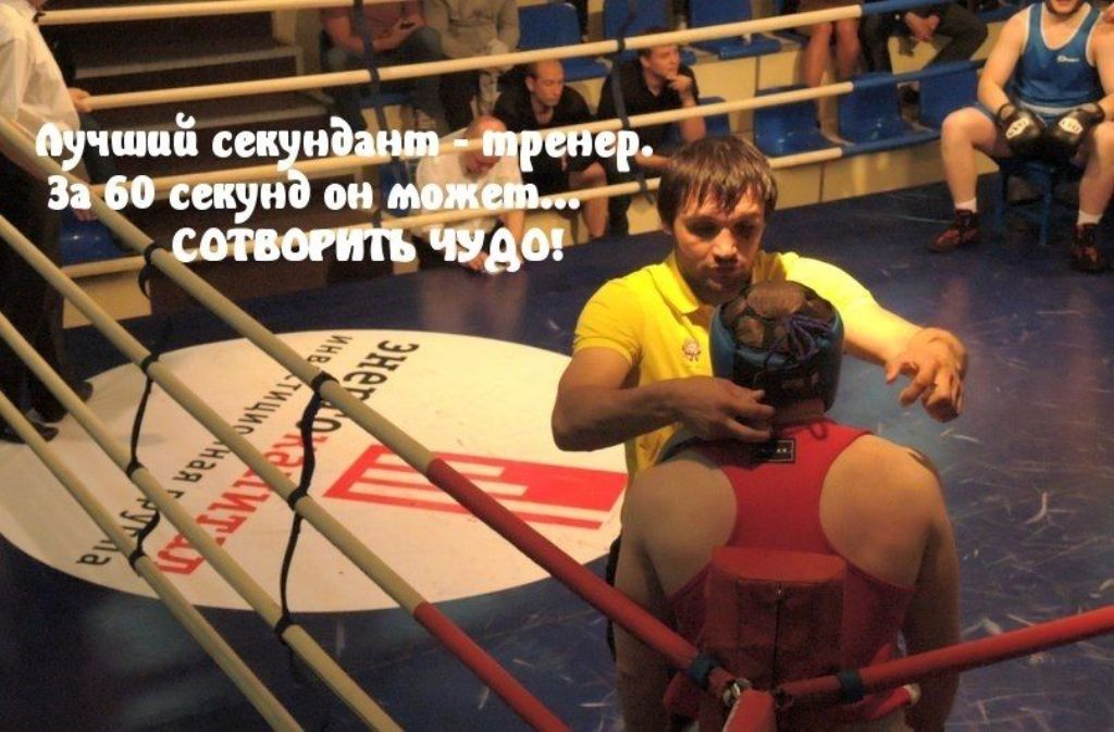 С днем бокса юмор