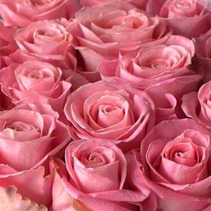 Благославление