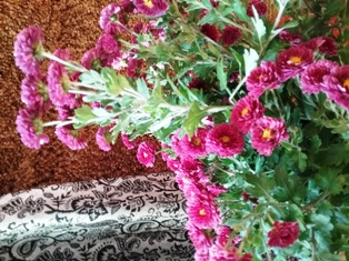 С тобом, без тебе. Софиjа Измаjлова