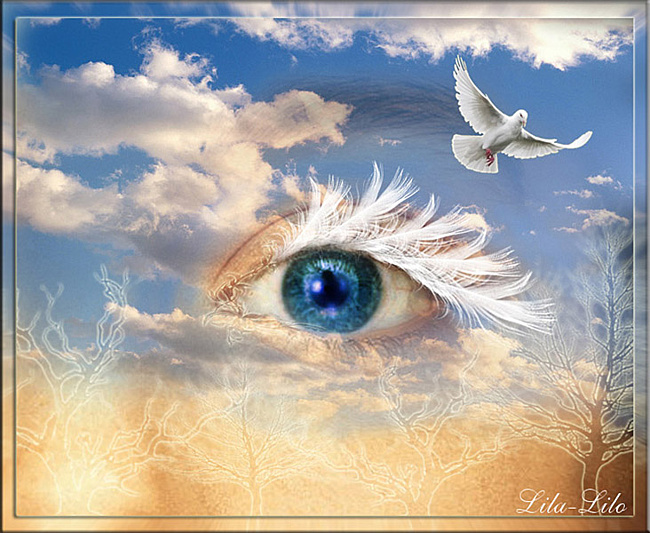 Размышляя о жизни