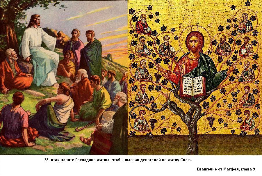 Слову Божию внимая. Жатвы много, делателей мало