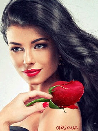 Любовь красной розы