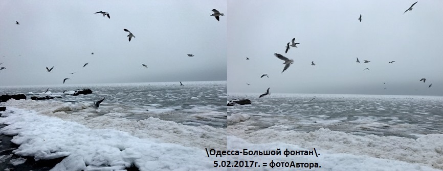 На февральском морском берегу