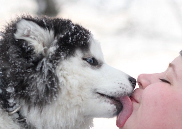 Пропал ребёнок...