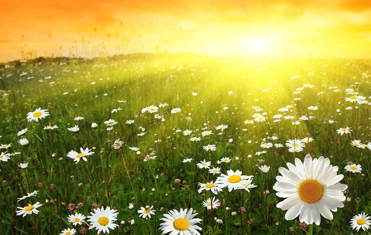 В небе солнышко встает. Солнышко встает. Лучи солнца. Пейзаж с солнцем. В небе солнышко встает.