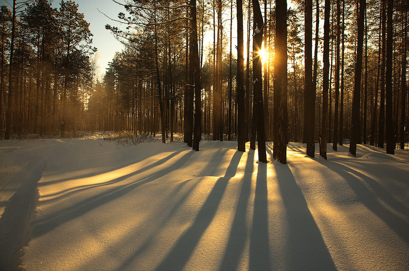 Февраль задумчив...