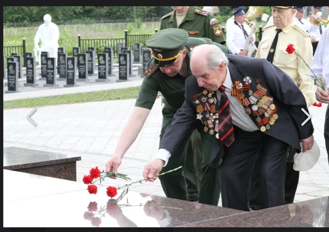 Седой гармонист