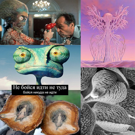 13. Иные миры