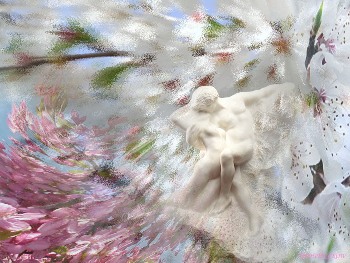 А сердце грезит о весне