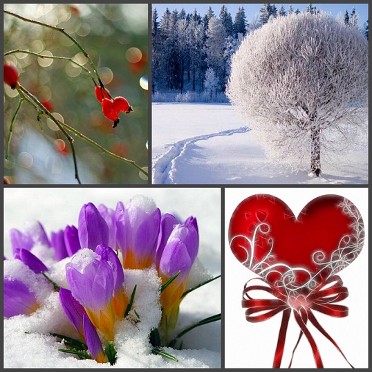 Водолеи, Рыбки...