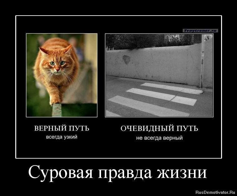 Мы себя продаём за гроши