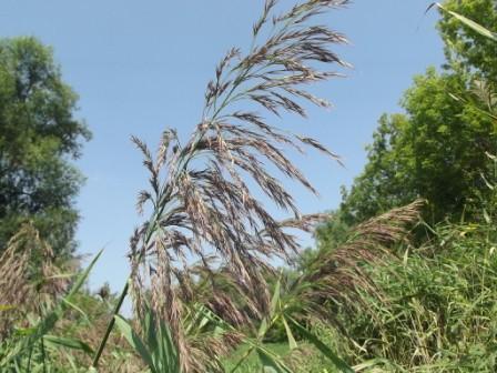 Скоро осень