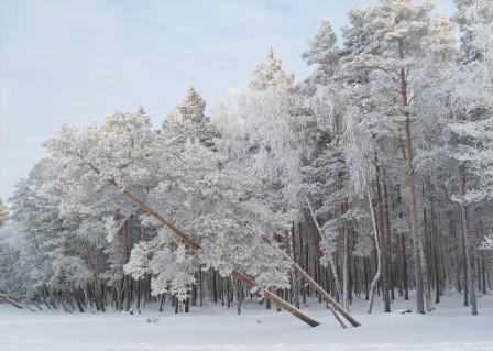 Так значит ты мне врал...
