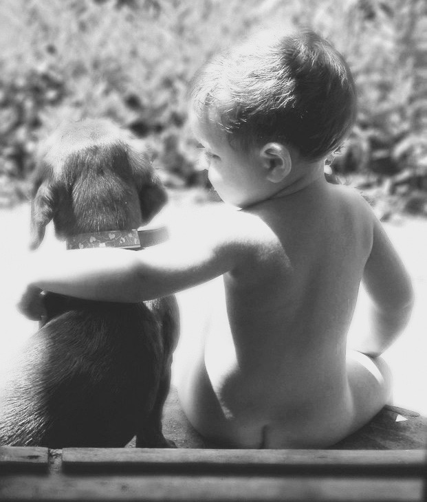 Здравствуй, друг!