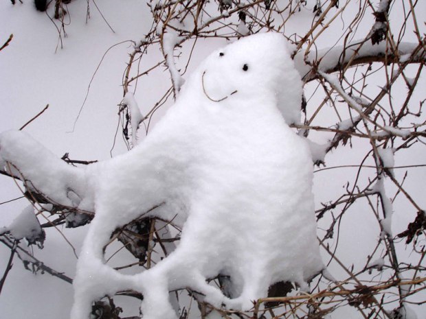Причуды зимы