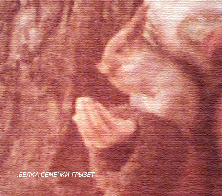 Доверие... Стихи свободные