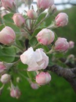 Ну, не проходит!..