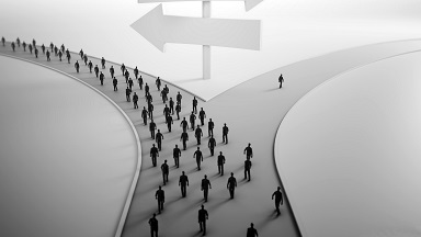 Следуйте за указателем