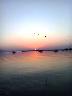 Галеб. Софиjа Измаjлова