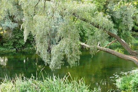 Для вас пустяк, а для меня так много