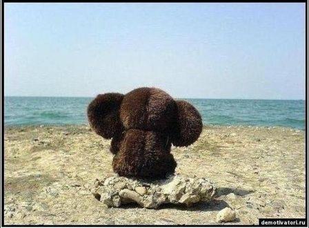 а он не такой как все