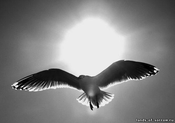 Хочу кричать