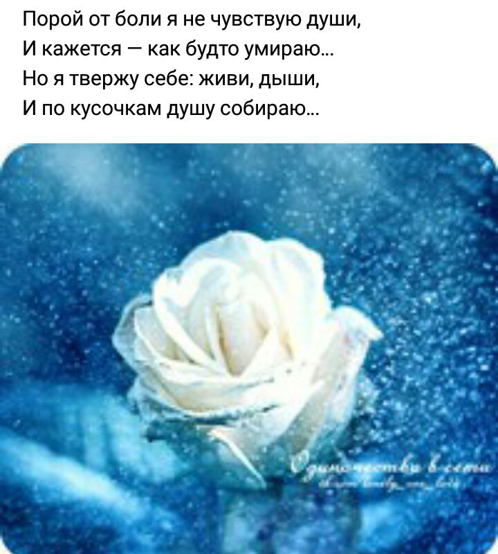 мне с тобою досталось мало...