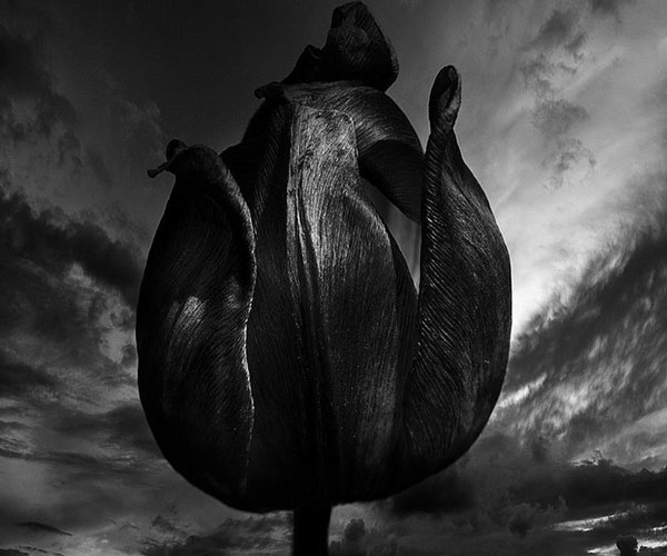 Вера в жизнь