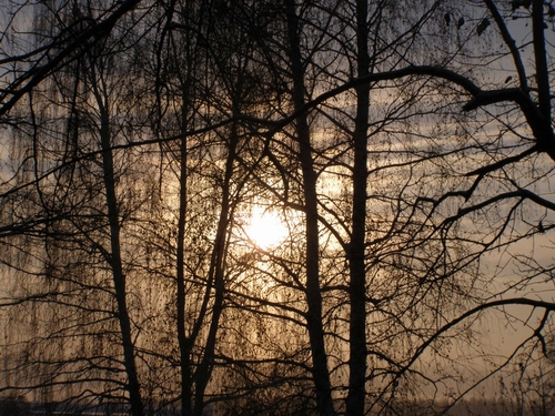 Миг осознанья