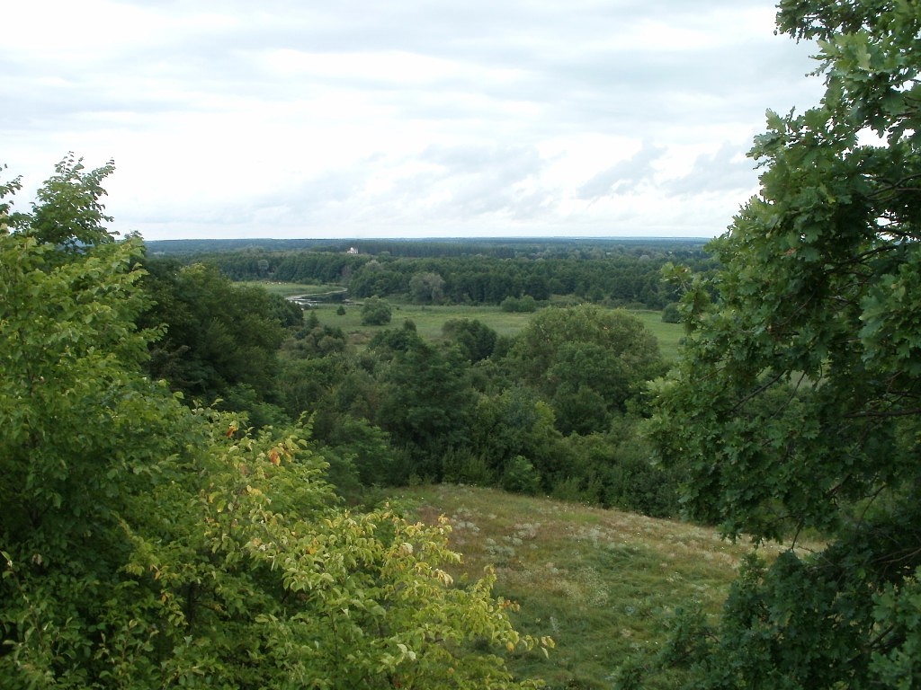 Посмотрю на поле рыжее