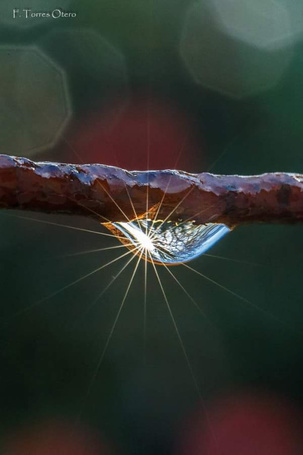 Весеннее примирение