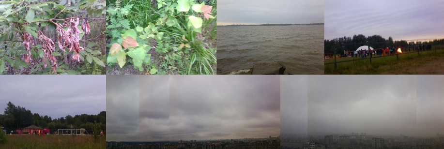 Горят костры в свинцово-хлёсткой пелене июля...