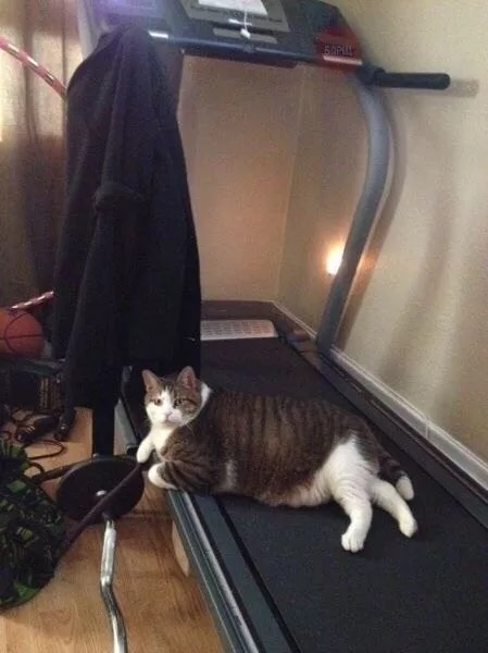 502 Д Спортом модно заниматься