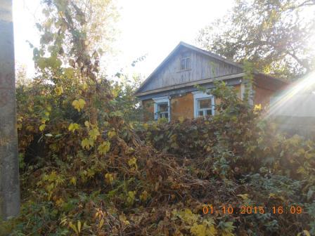 Заброшенный двор