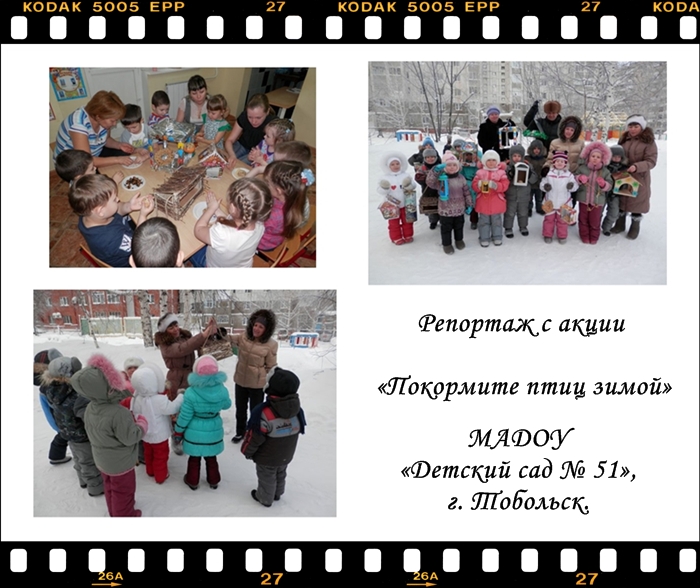 Покормите птиц зимой... г. Тобольск