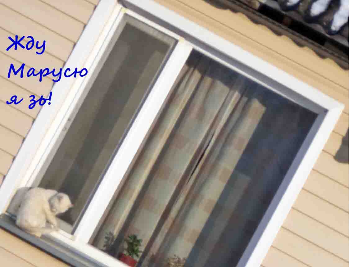 О, матка мия, как я зол!