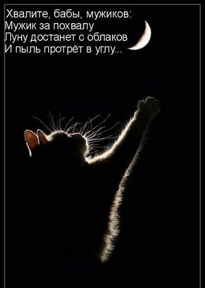 Мужчинам - маячкам!