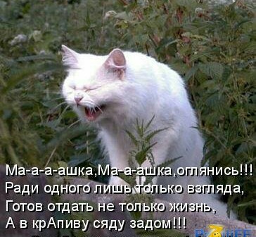 Любовь!
