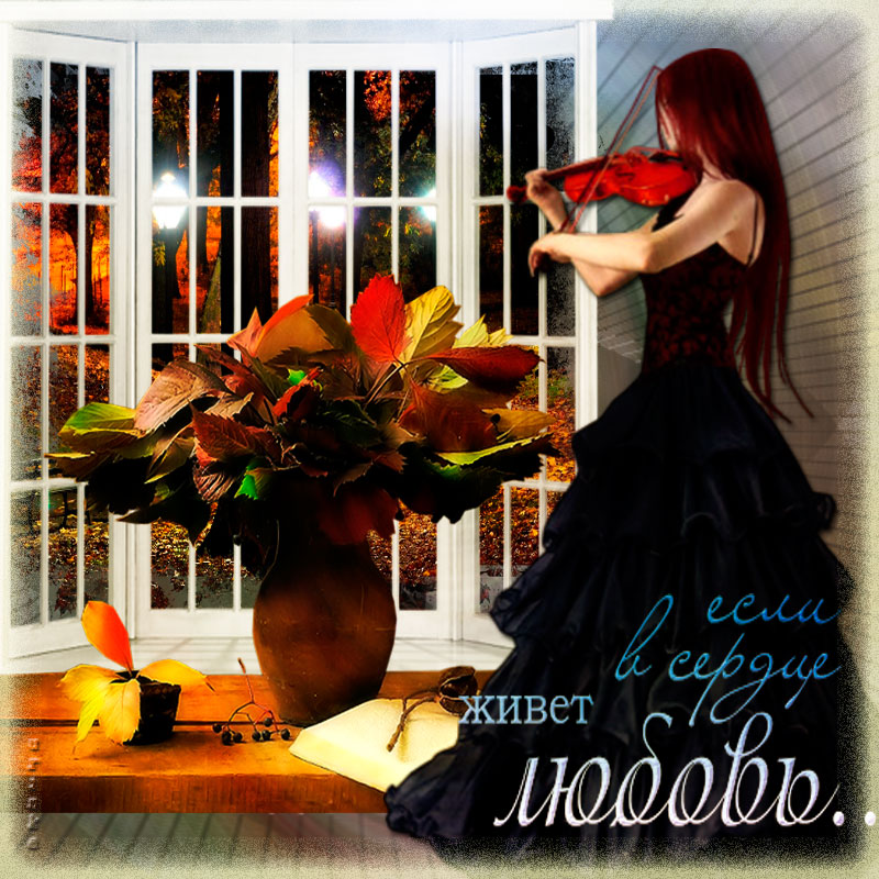 Живите цветите любите. Живите цветите любите. Люби цвети живи и радуй дари храни терпи борись. Цветы для детей. Чудесные цветы.