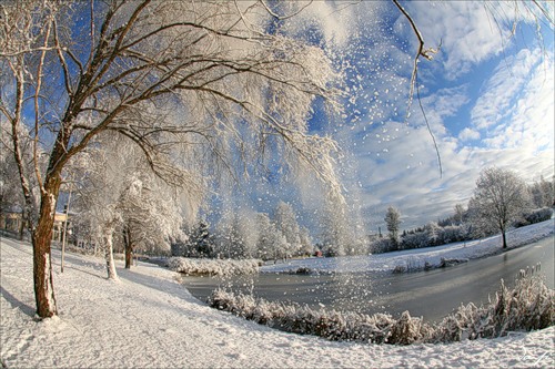 Лучшее время сейчас для прогулок!