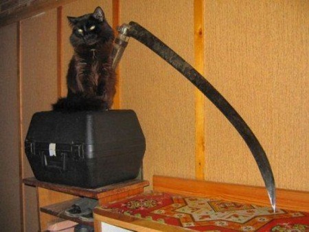 Не верьте плохим приметам!