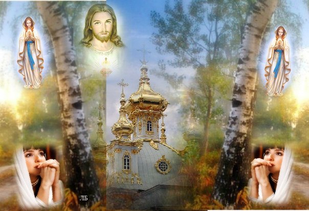 Прошу прощения