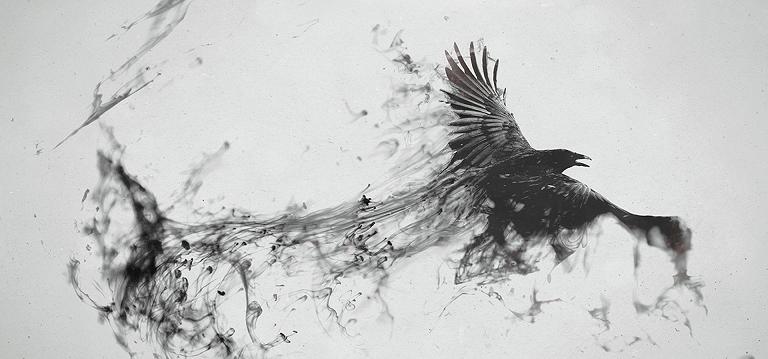 Мелькнула птица за окном