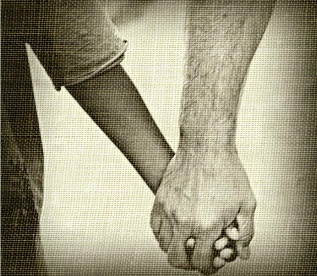 Пройдешь опять проторенной тропой