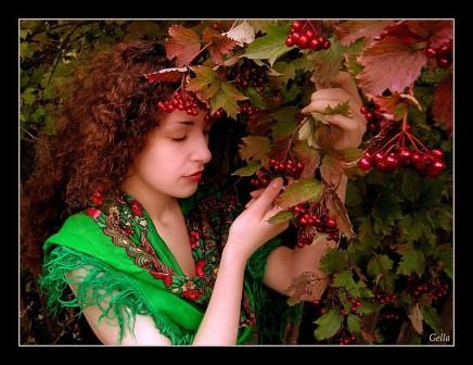 Калины куст