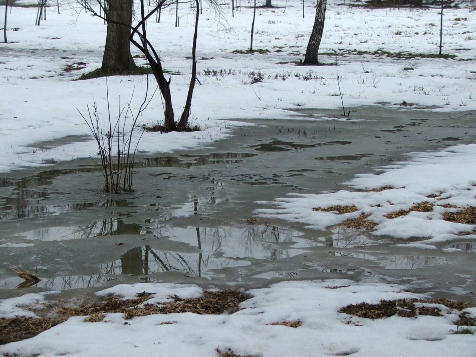 Пришла Весна