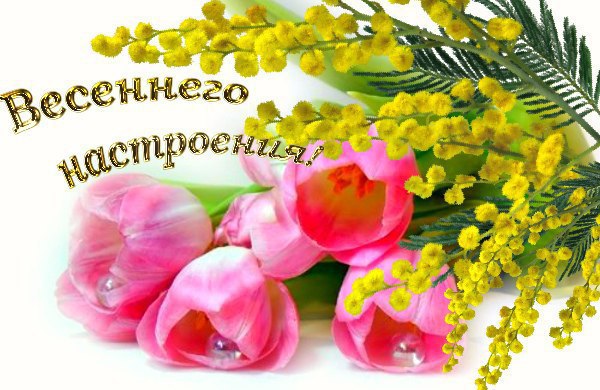 Март тронул чувств мужских струну