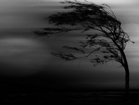 Если бы знал ты, как больно...