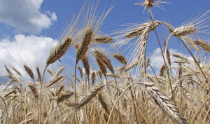 Философия патриотизма